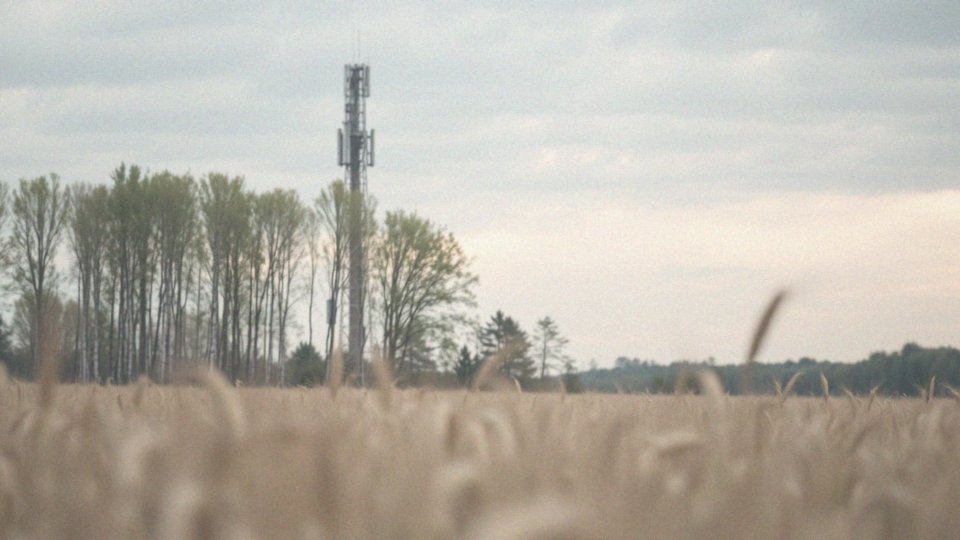 Kiedy 5G w Polsce? O aktualnym rozwoju technologii 5G